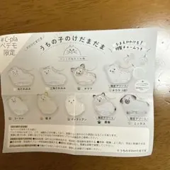 うちの子のけだまだま　黒柴(限定アソート)