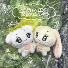 ALD1 ボイプラ2 サンヒョン ぬいぐるみ ドール10cm 인형 - メルカリ