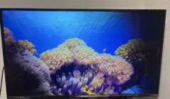 2026年最新】有機elテレビジャンクの人気アイテム - メルカリ