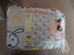 Item thumbnail for item 70220439-4238-4446-8f95-b5f260379331