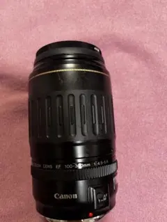 Canon EF 100-300mm F4.5-5.6 レンズのサムネイル