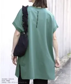 Item thumbnail for item 17442b15-fcb4-4ddf-afaf-3d5df351542f