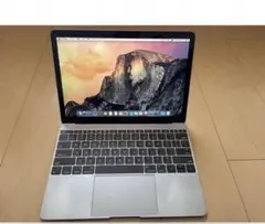 MacBook 2016 12インチ256GB 箱無し バッテリー正常 初期化済 - メルカリ