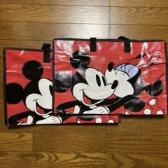 【2点】ディズニーストア　ラッキーバッグ　2026 ショッピングバッグ