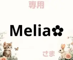 専用