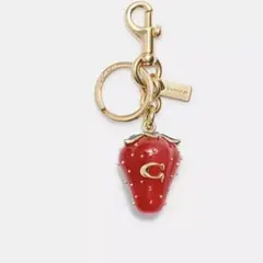 coach ストロベリー　バッグ　チャーム