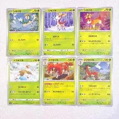 シキジカ メブキジカ 6種類セットのサムネイル