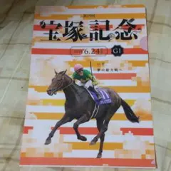 JRA 阪神競馬場 【 宝塚記念 】 サトノクラウン クリアファイル