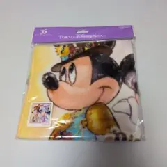 東京ディズニーリゾート ミッキー ミニー ハロウィン ウォッシュタオル