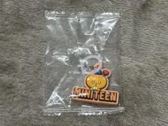 MINITEEN ガチャガチャ ぷっくりめじるしアクセサリー スングァン