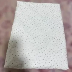 Item thumbnail for item 92c11c9d-9962-40b7-9af0-5b8905be88de