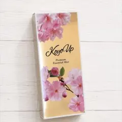 【M262】美品 コーヨーアップ プレミアムエッセンシャルミスト 2箱セット 高陽社 コーヨーアッププレミアムエッセンシャルミスト - メルカリ