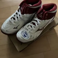 (新品)Mizuno WAVE REAL BB5 WD 25.5cmのサムネイル
