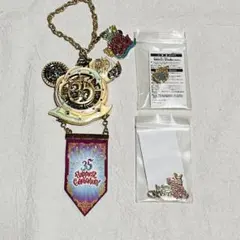 2025年最新】ディズニー35周年タイムオブセレブレーションの人気