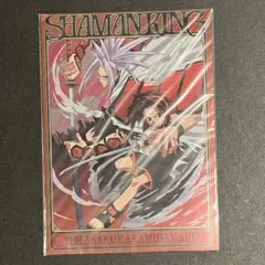 SHAMANKING 샤먼킹 엽서 아사쿠라 잎