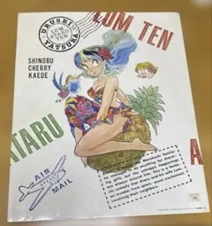 うる星やつら 厚紙ファイル