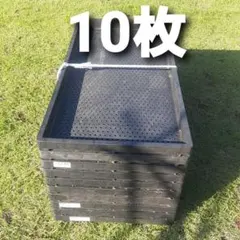 育苗トレー 農業資材 出光 愛苗トレー B-40 3寸ポット40個対応【20枚