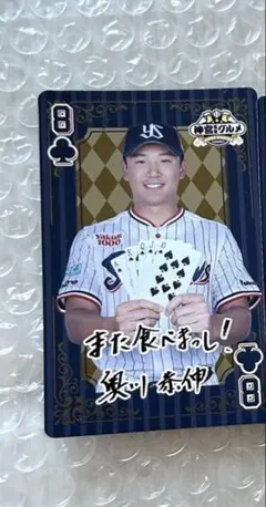 AP様　1枚