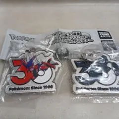 ポケモン 30周年 メタルチャームマスコット コライドン ネクロズマ　セット