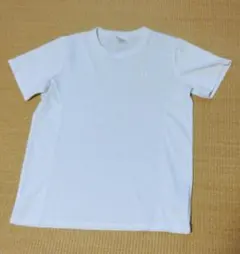 Item thumbnail for item 51a88bfc-58a6-4ae9-8b01-7817dd4ed0f8