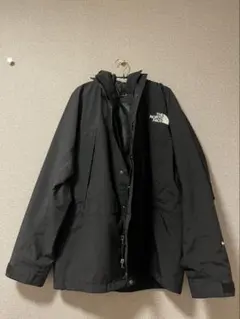 THE NORTH FACE マウンテンパーカー LサイズNPM62210 - メルカリ