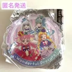 プリキュアあそーと2025 B賞　わんだふるぷりきゅあ　アクリルチャーム　新品