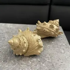 ゴールドペイント　天然貝殻 2個セット インテリア ウェルカムスペース　シェル