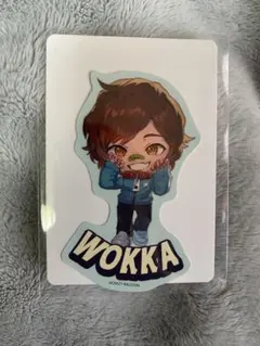 WOKKA ステッカー CRAZY RACCOON