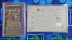 ARS10+ 魔術師の弟子ブラックマジシャンガール 25thのサムネイル