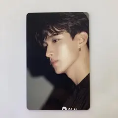 seventeen dicon ドギョム　トレカ