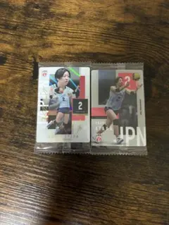 バレーボール 日本代表 荒木彩花 トレーディングカード