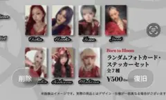 HANA Born to Bloom フォトカード・ステッカーセット