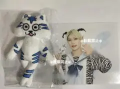 パンダドラゴン たいが ぬいぐるみセット 最終お値下げ】パンダドラゴン パラゴン たいが 音声付き