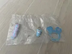 TWICE LOVELYS ナヨン ナブリー アクリルカラビナフロッキー