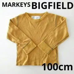 Item thumbnail for item ae125adc-fe4e-40be-841a-49be61c24a6f