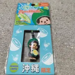 sekiguchi☆ご当地モンチッチ☆徳島限定☆すだち☆ストラップ☆ - メルカリ