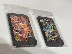 ポケモンフレンダワンダーピック2枚セット