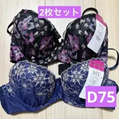 Item thumbnail for item a4434355-6710-461c-a59d-e07ffd78e987