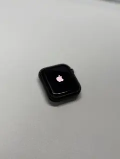 Apple Watch SE 44mmブラック 本体 ジャンク