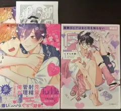 商業BL漫画 まとめ売り 2冊セット