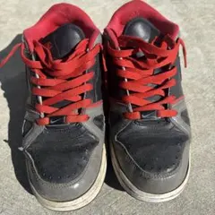 NIKE エアプライズ