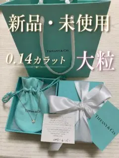 【新品】ダイアモンド0.14ct Tiffanyバイザヤードネックレス シルバーのサムネイル