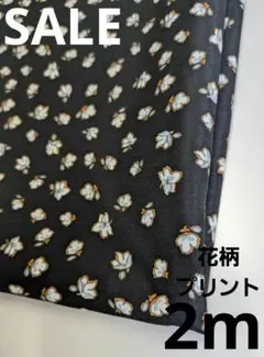 Item thumbnail for item dc5e9dc4-3cab-4902-a00f-a2a6e11eaa02