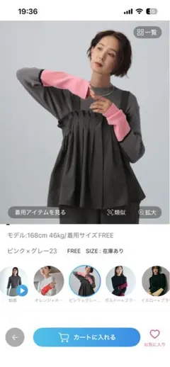 LEPSIM 配色リブニット