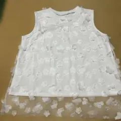 Item thumbnail for item f47aa166-2a13-4437-b342-7a5070b5bf9f