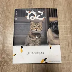 岩合光昭サイン入り 写真集「ねこ」帯付き