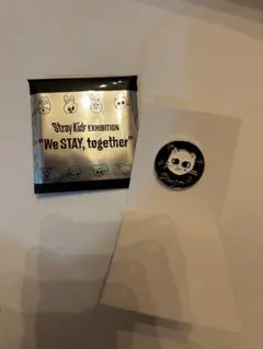 straykids 展示会 ランダムピンバッジ ヒョンジン ジニレット