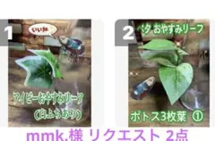 mmk.様 リクエスト 2点 まとめ商品