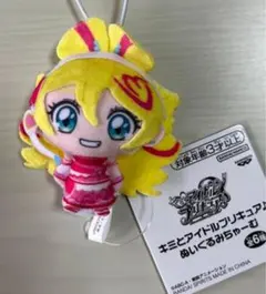 専用　アイドル1個