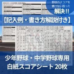 Item thumbnail for item b48cf52e-9aa7-4d2e-ab05-e8928ce610ed